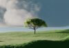 집에서도 실천하는 ‘마음 챙김’: 바쁜 일상 속 스트레스 관리법 주목 A single tree on a vibrant green rolling hill.