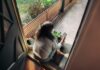만성피로, 작은 습관 변화로 이겨내기… 한국인 맞춤 활력 찾기 전략 Woman sitting on balcony with smartphone