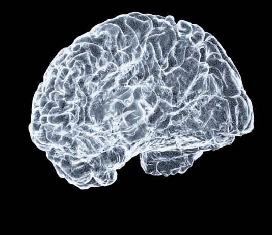 뇌건강, 잘 먹고 잘 자는 것이 핵심…‘브레인 케어’ 라이프스타일이 트렌드로 a close up of a human brain on a black background